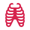 rib-cage-d6244d (1)